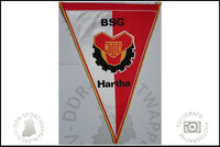 BSG Motor Hartha Wimpel