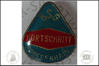 BSG Fortschritt Grossenhain Pin Variante