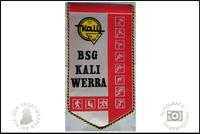 BSG Kali Werra Wimpel Sektionen