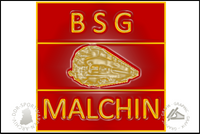 BSG Lokomotive Malchin Pin Variante
