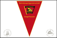BSG Lokomotive Sangerhausen Wimpel