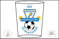 BSG Medizin Wermsdorf Glas Sektion Fussball
