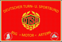 BSG Motor Artern Fahne