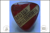 BSG Motor Muldenstein Pin Variante